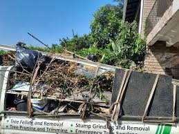 Professional Junk Removal Services in Carter, TX